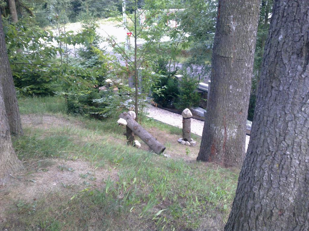 Casa Gabriela Villa Sinaia Oda fotoğraf