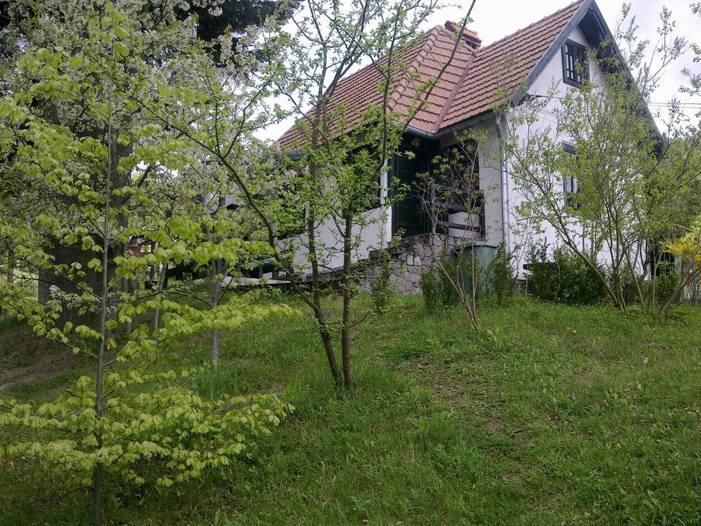 Casa Gabriela Villa Sinaia Oda fotoğraf