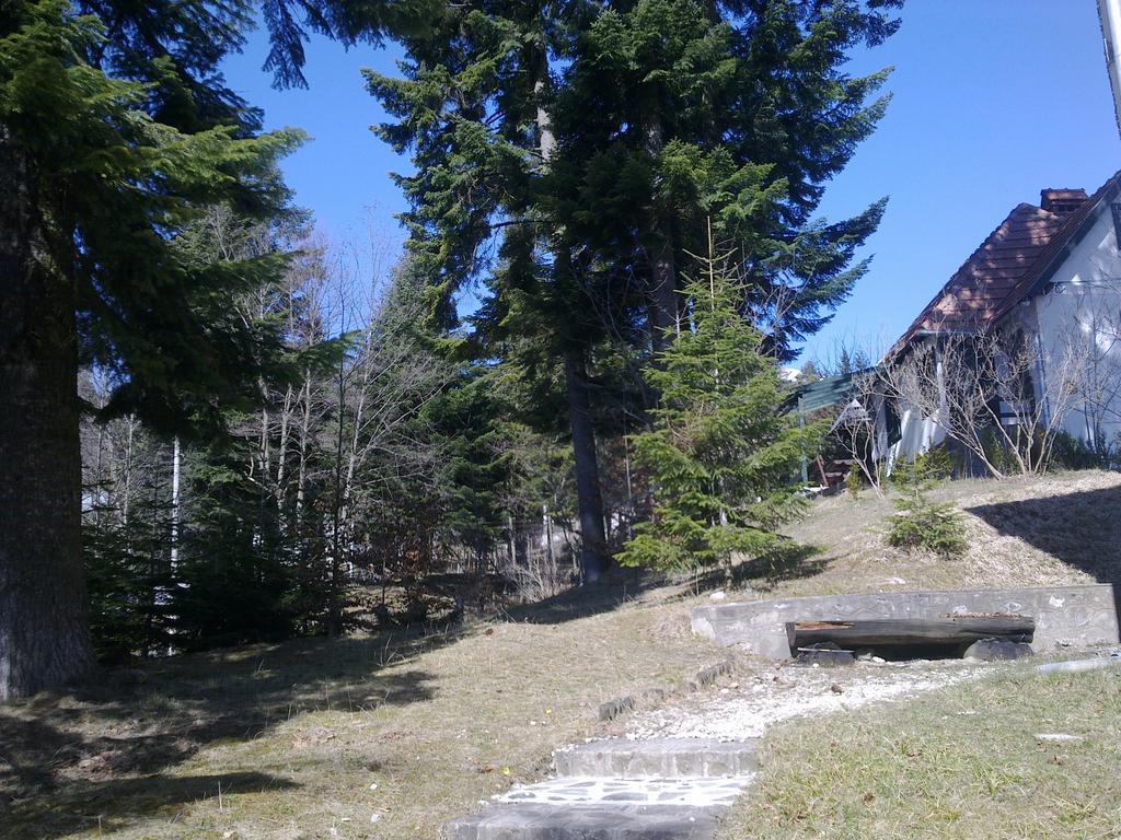 Casa Gabriela Villa Sinaia Oda fotoğraf