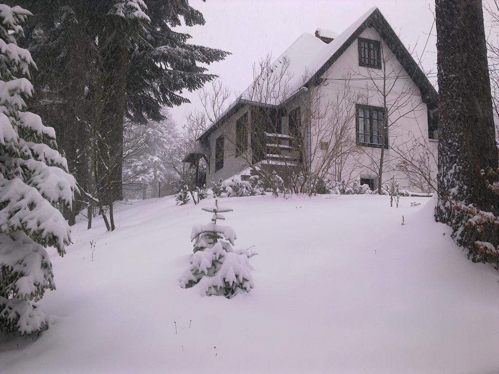 Casa Gabriela Villa Sinaia Oda fotoğraf